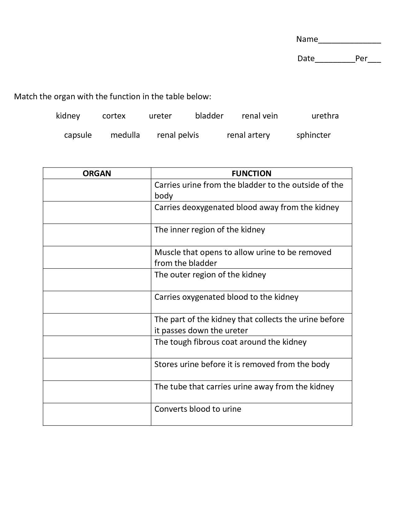 Excretory System Coloring Worksheet