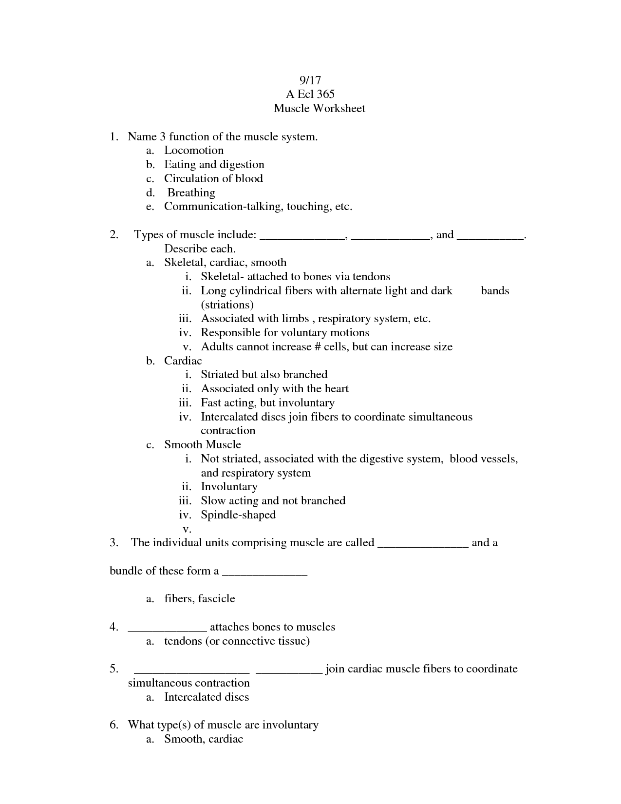 13 Best Images of Muscular System Worksheets For Middle School ...