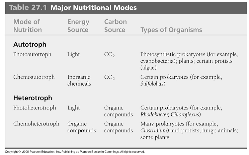 Nutritional Modes in Prokaryotes