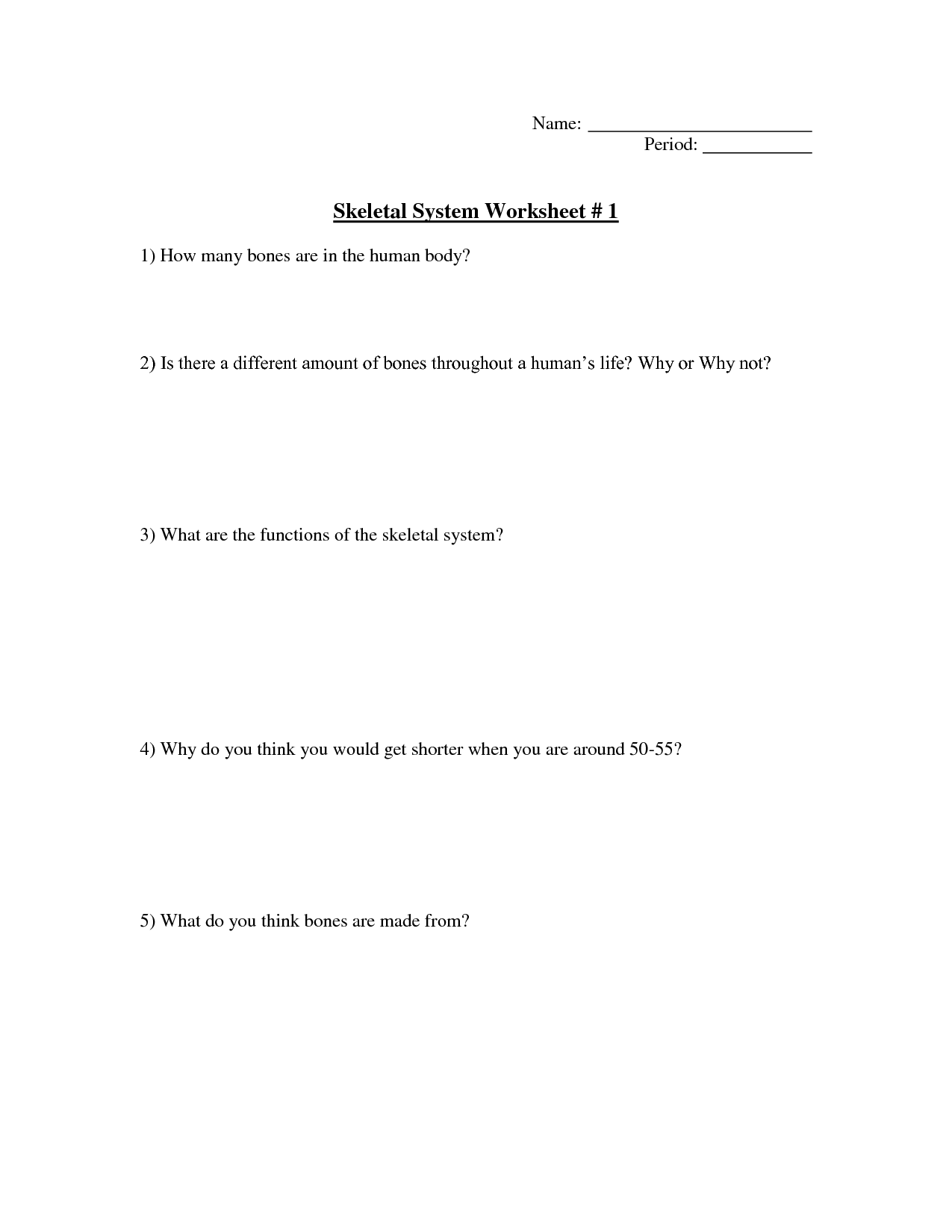 The Human Skeletal System Concept Map Skeletal