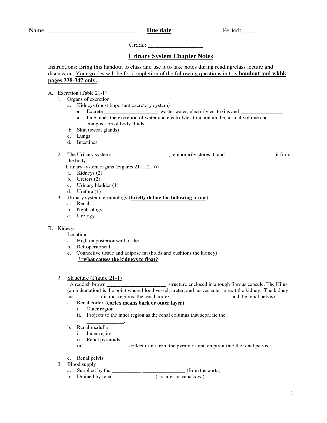 Urinary System Worksheets