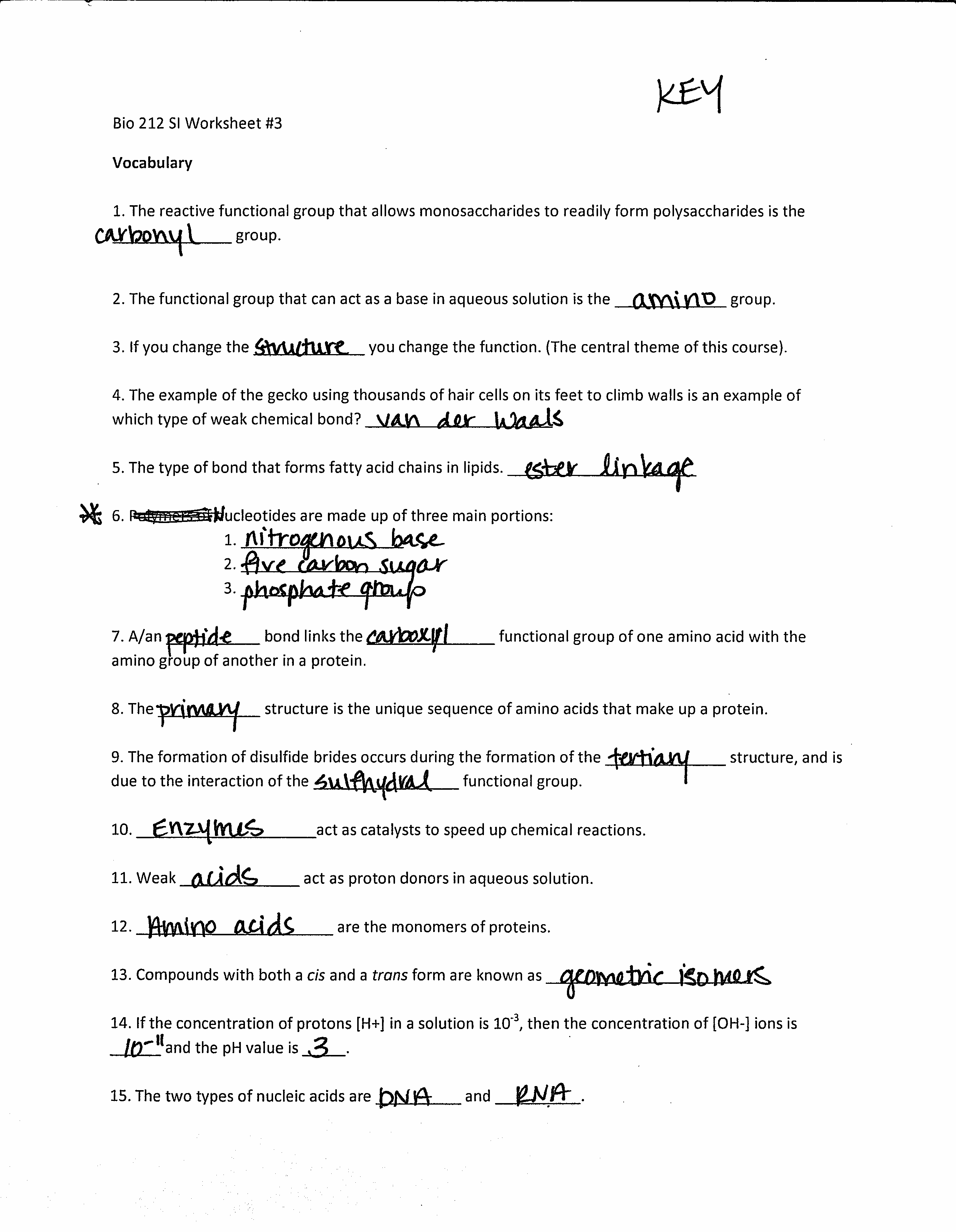 15 12 2 The Structure Of DNA Worksheet Answers Worksheeto