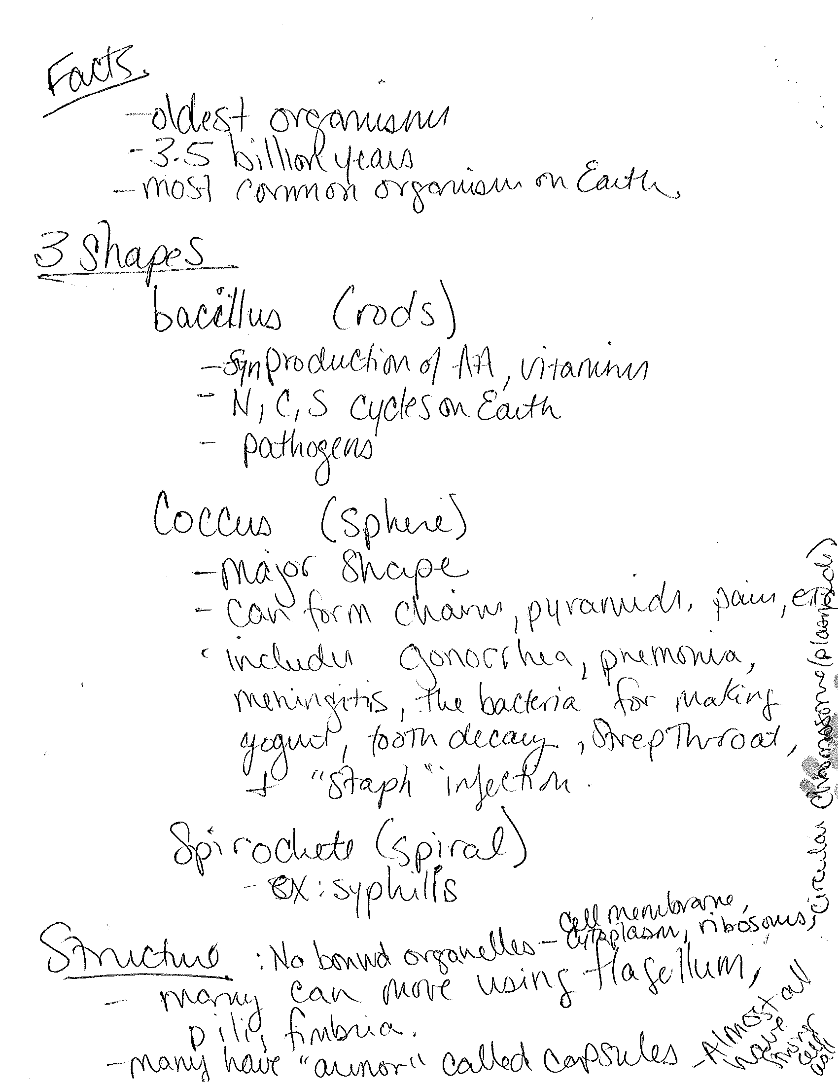 Six Kingdoms Coloring Worksheet Answer Key