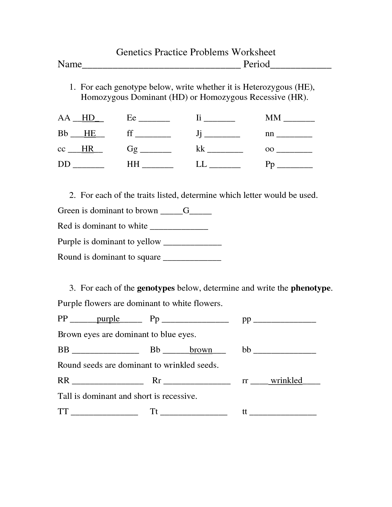 Genetics Practice Problems Worksheet Answers