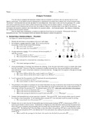 Human Pedigree Worksheet Answers