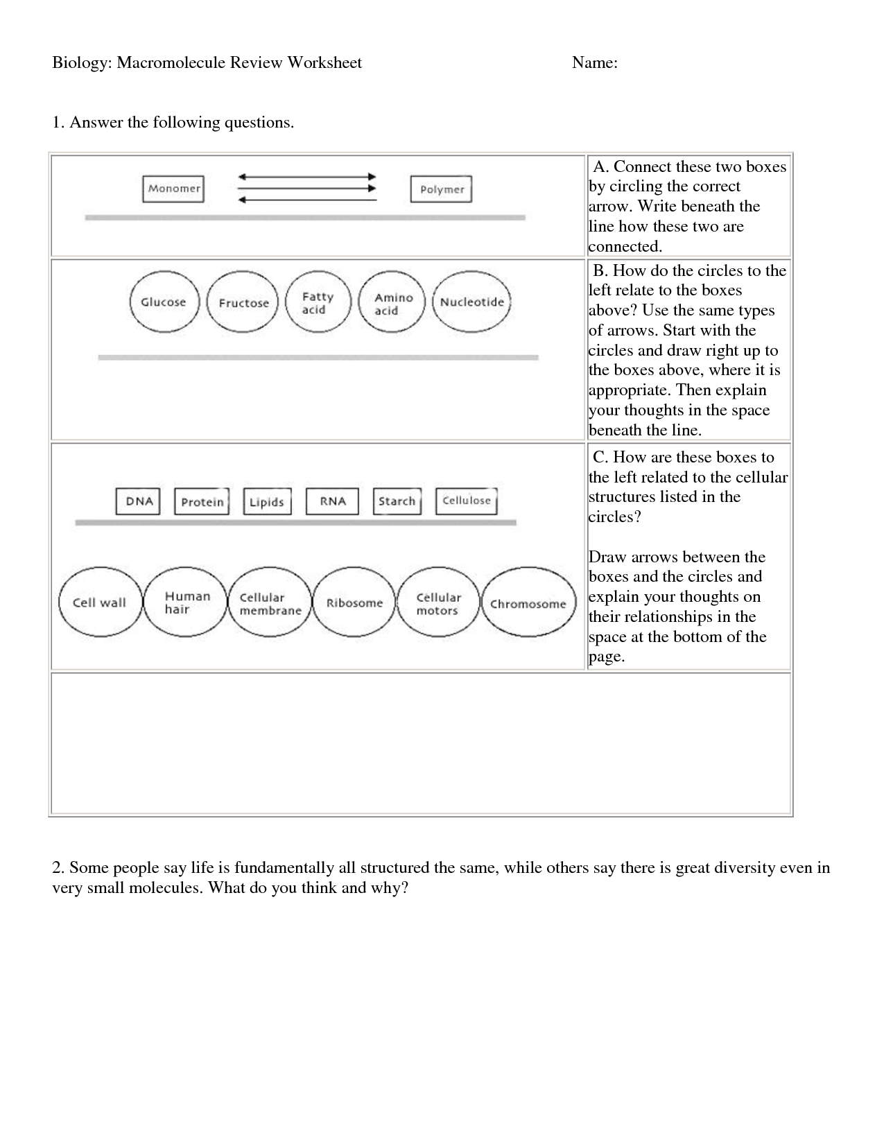 15 Macromolecules Coloring Worksheet Worksheeto