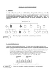 Mendelian Genetics Worksheet Answer Key