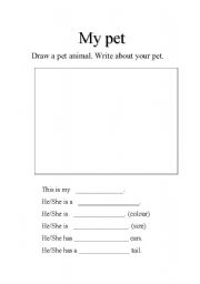 My Pet Rock Worksheet Printable