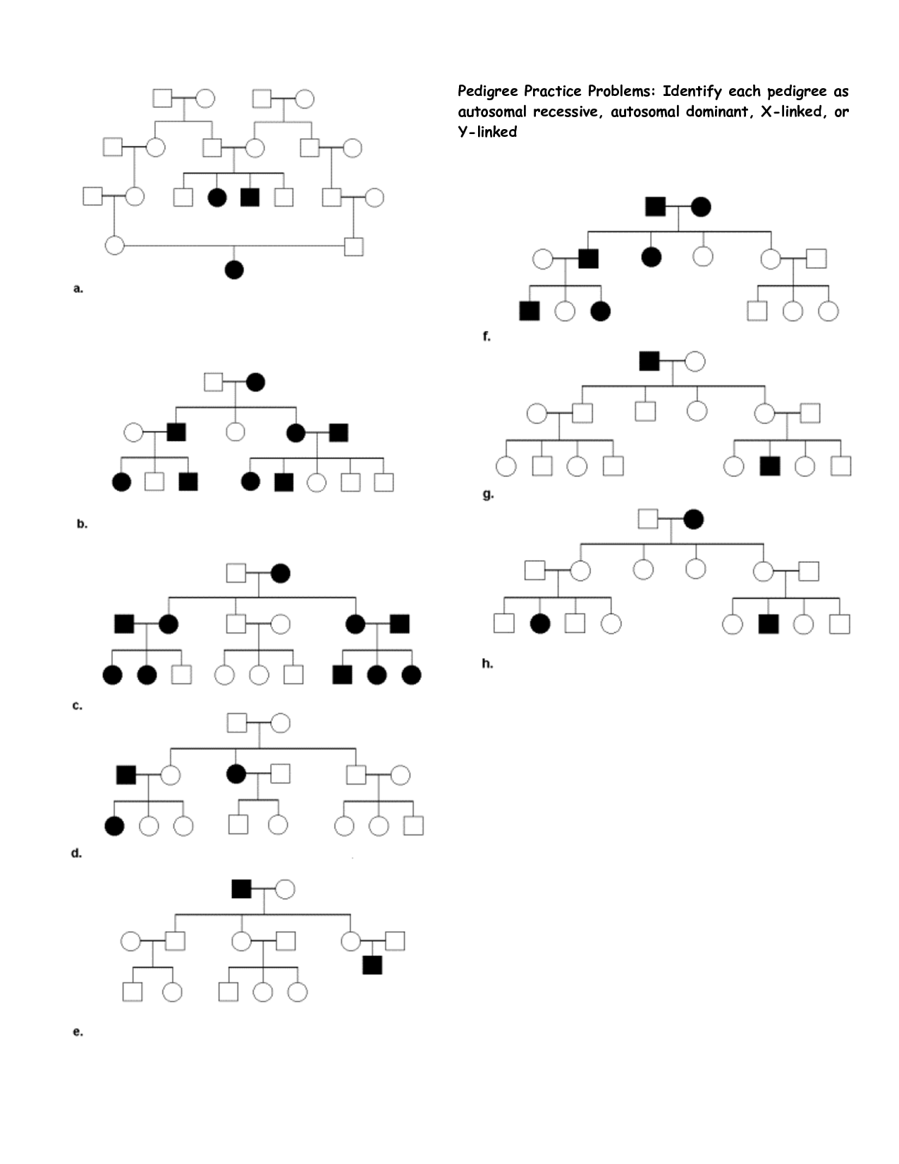 Pedigree Practice Problems Worksheet