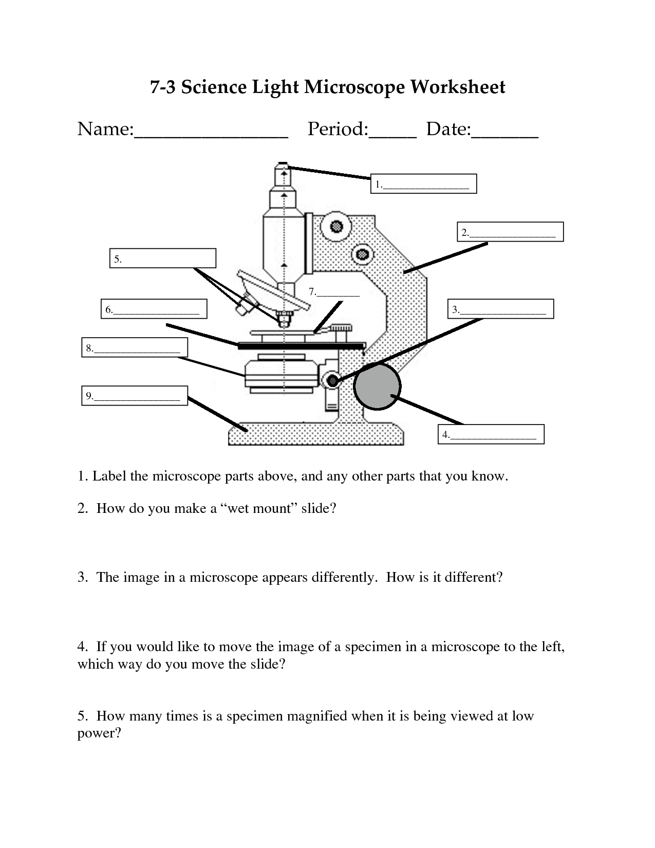 13 Microscope Diagram Worksheet Worksheeto