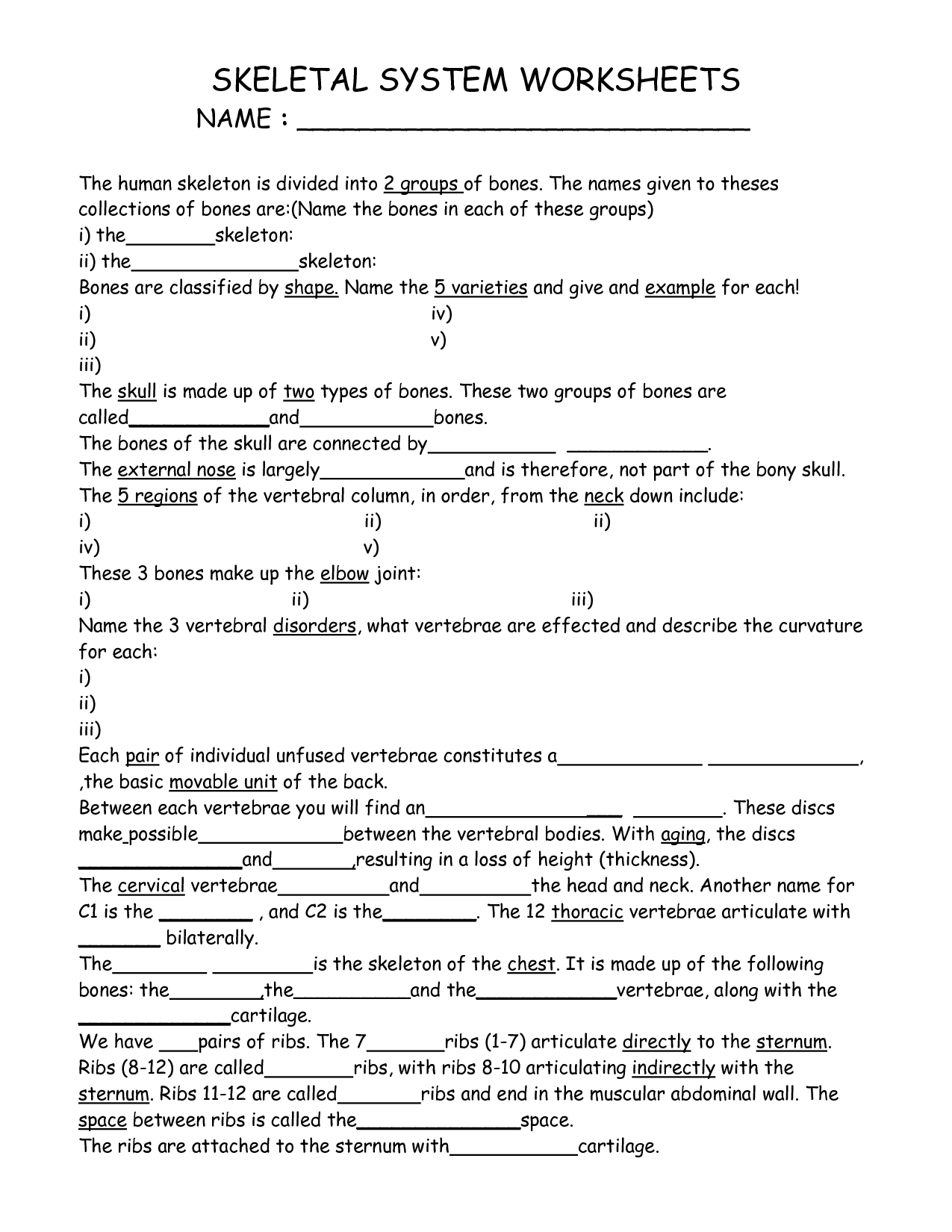 Skeletal System Worksheets