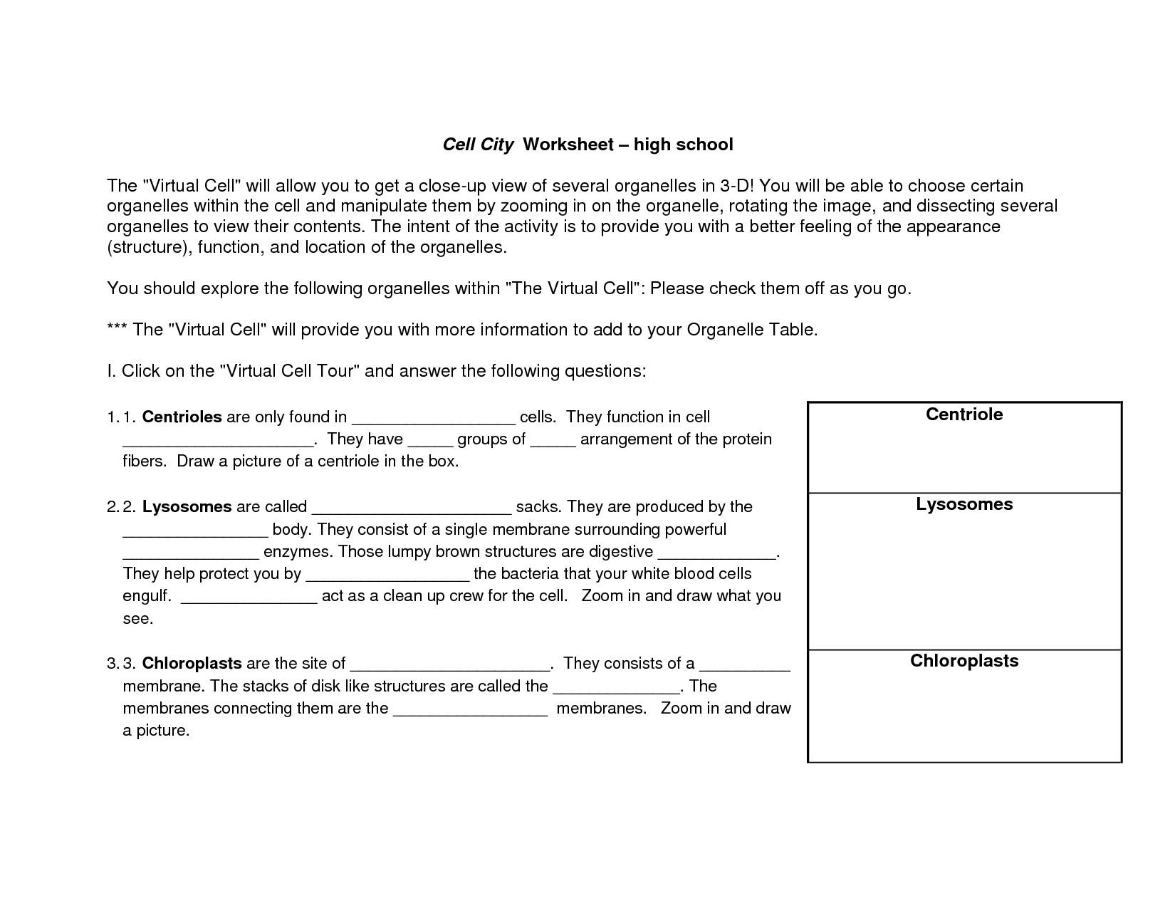 Cell City Worksheet Answer Key