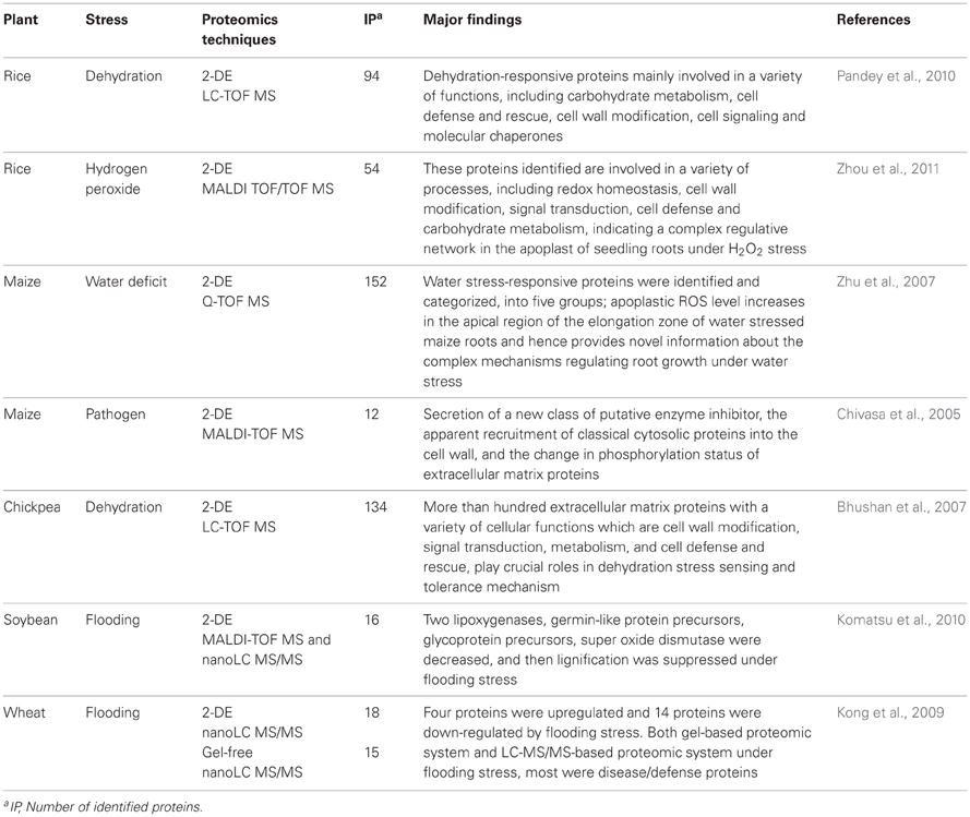 Cell Organelles and Their Functions Worksheet