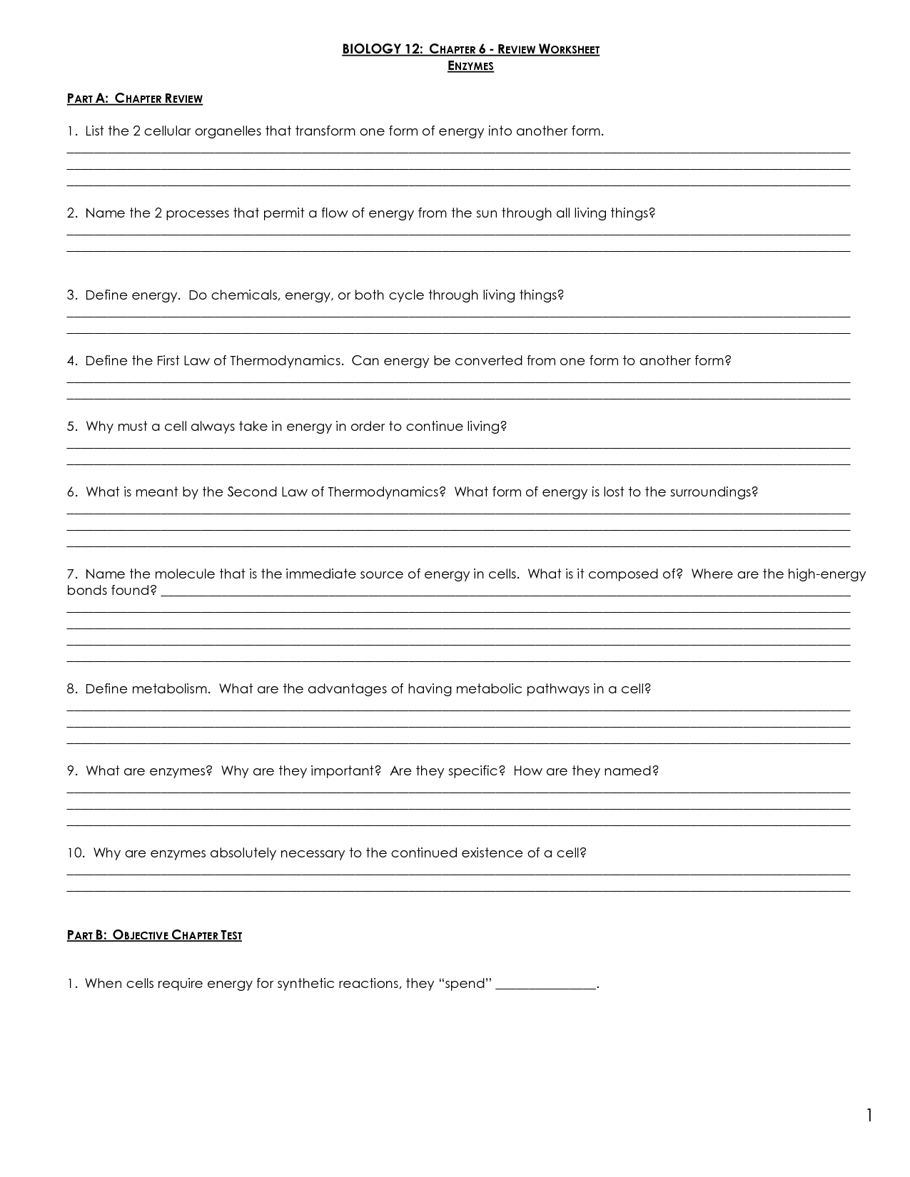 15 Enzymes Worksheet Answer Key Worksheeto