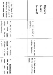 How Fossils Are Formed Worksheet