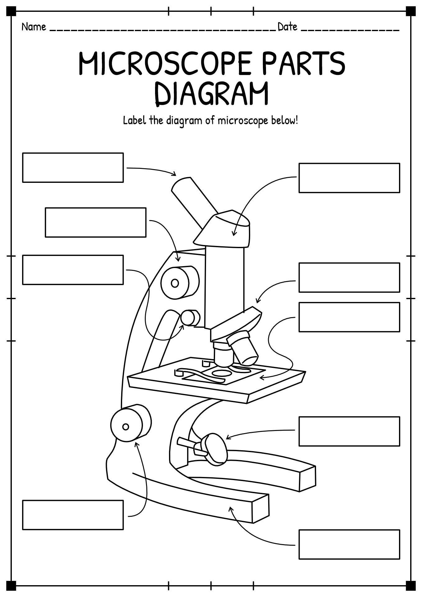 Parts Of The Microscope Worksheets
