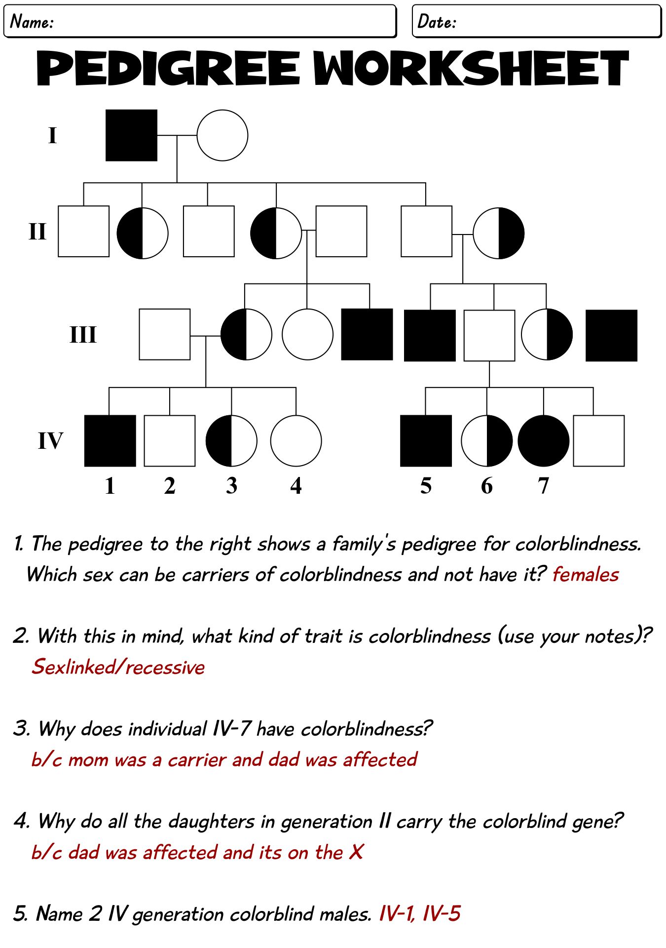 Pedigree Genetics Worksheet Answers