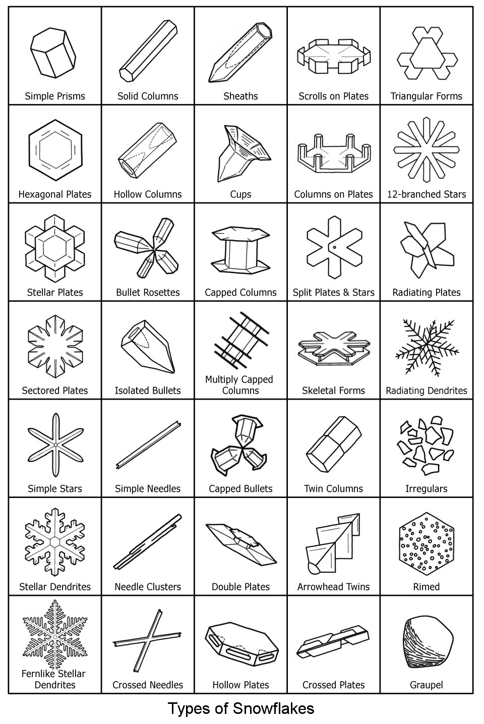 Snowflake Activities