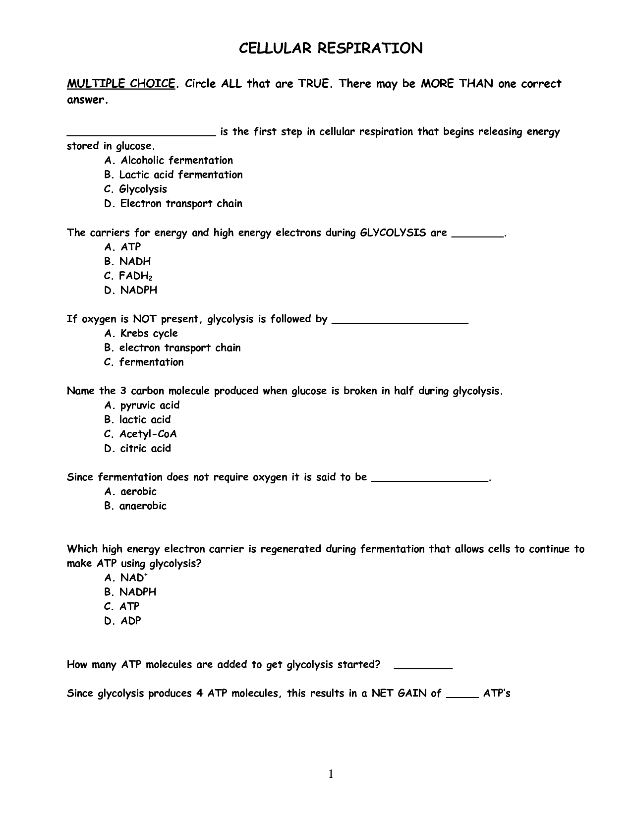 Cellular Respiration Worksheets and Answers