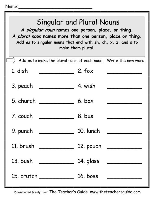Singular Plural Words For Class 4