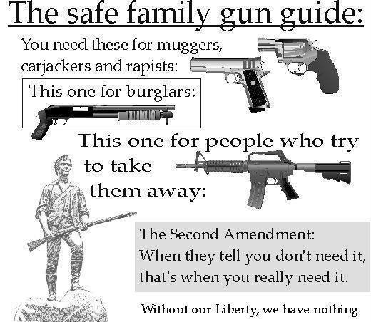 2nd Amendment Gun Rights