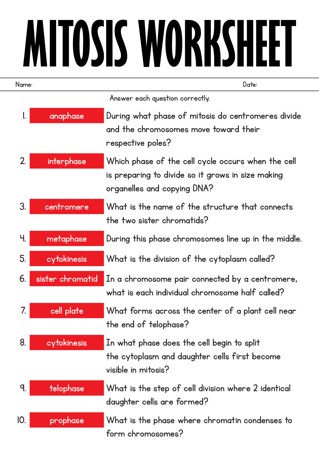 17 Phases Of Meiosis Worksheet Worksheeto