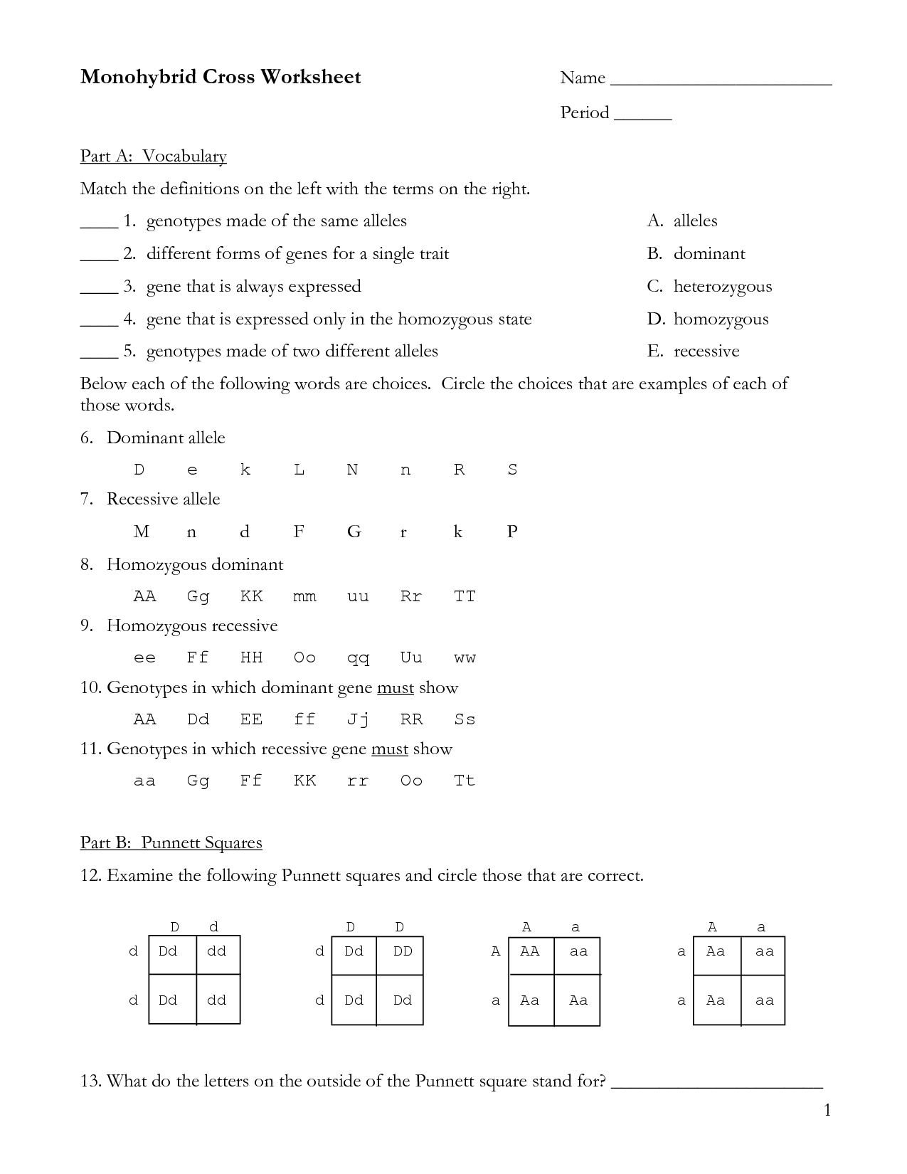 Punnett Square Dihybrid Cross Worksheet Answer Key