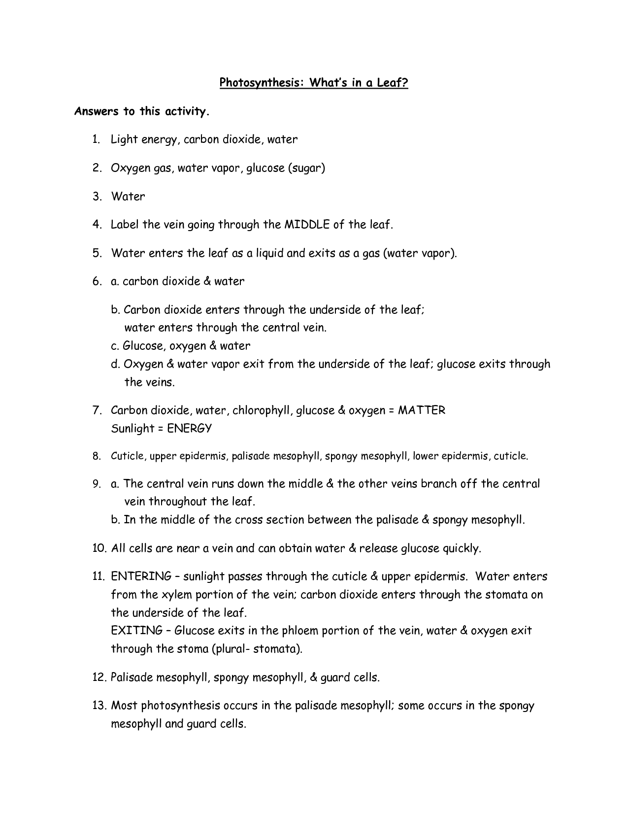 15 Photosynthesis Worksheet Answer Key Worksheeto