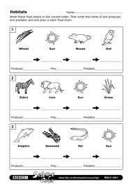 Food Chain Worksheet 3rd Grade