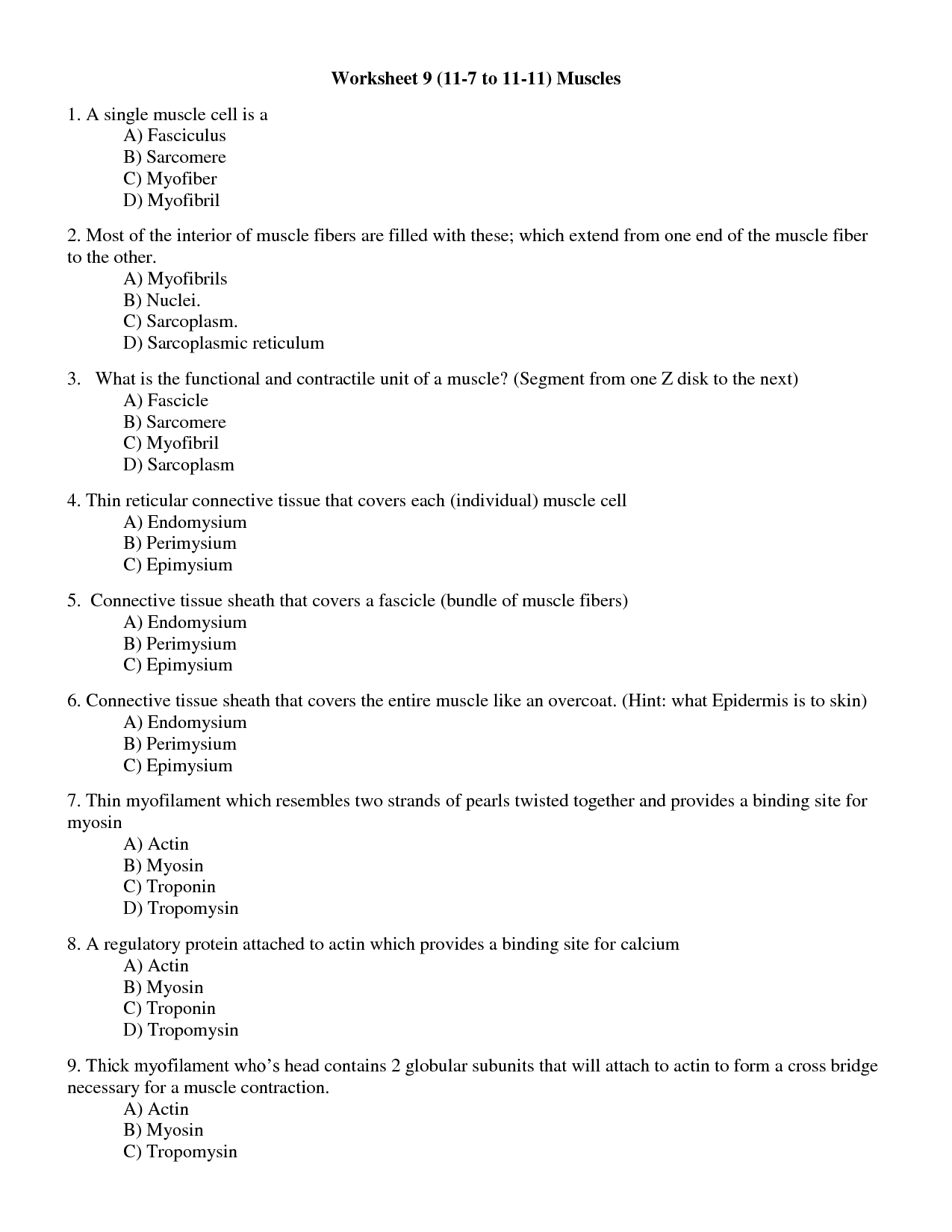 Muscle Tissue Worksheet