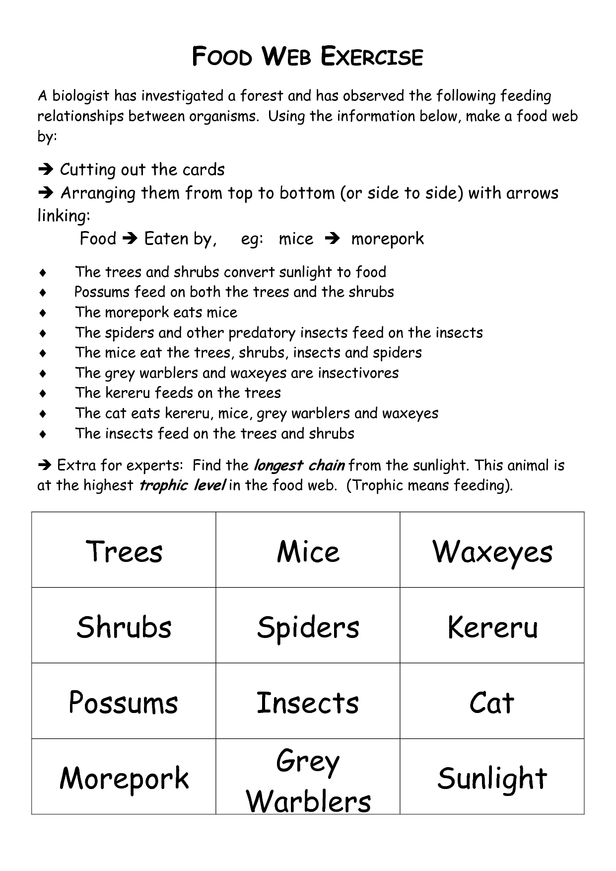 Printable Food Web Worksheets