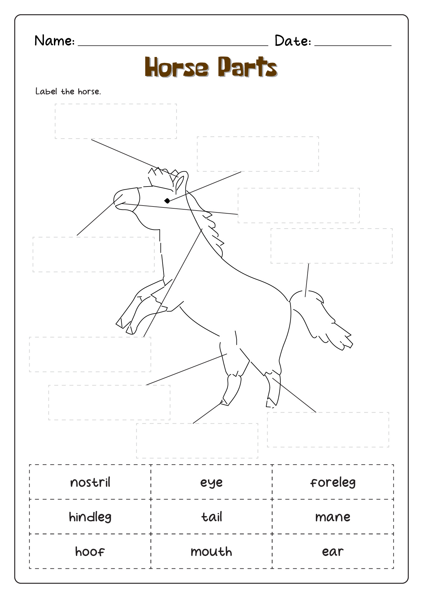 20 Best Images of Horse Tack Worksheet Printable - Horse Crossword ...