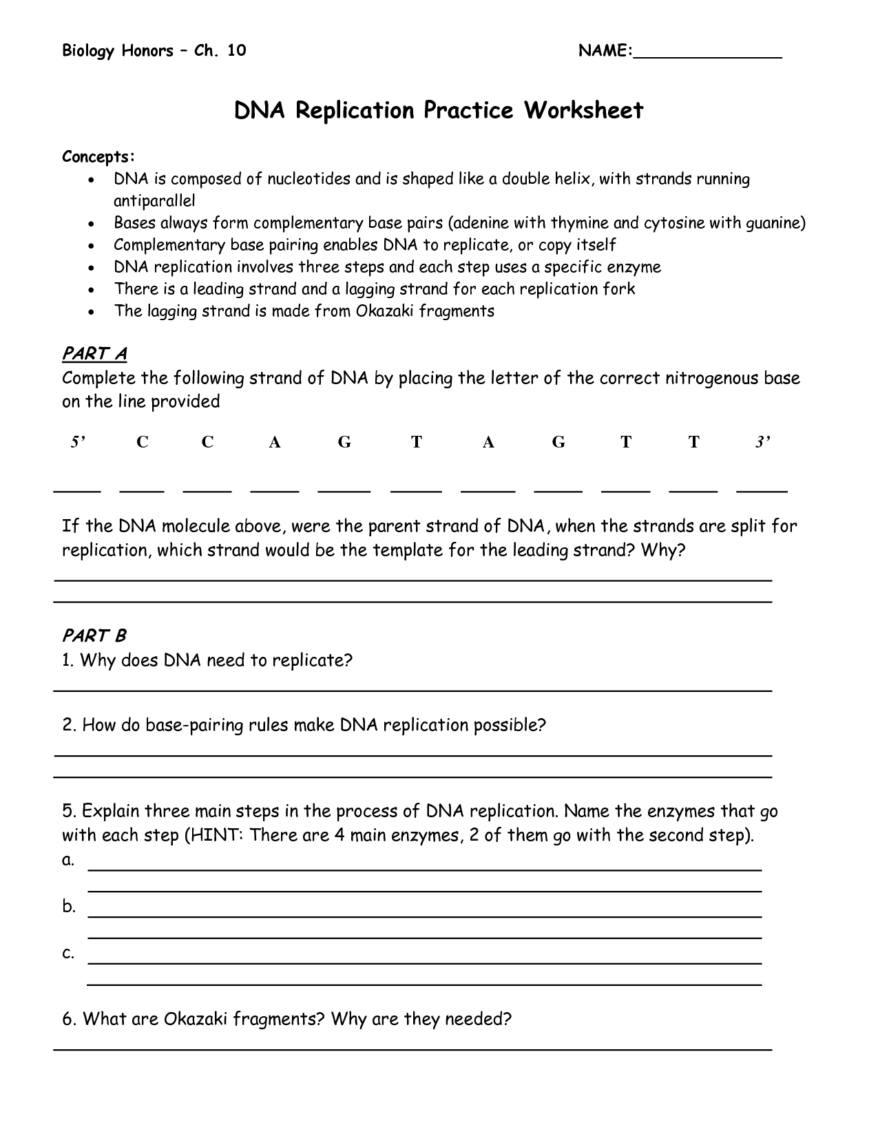 14 DNA Complementary Strand Worksheet Worksheeto