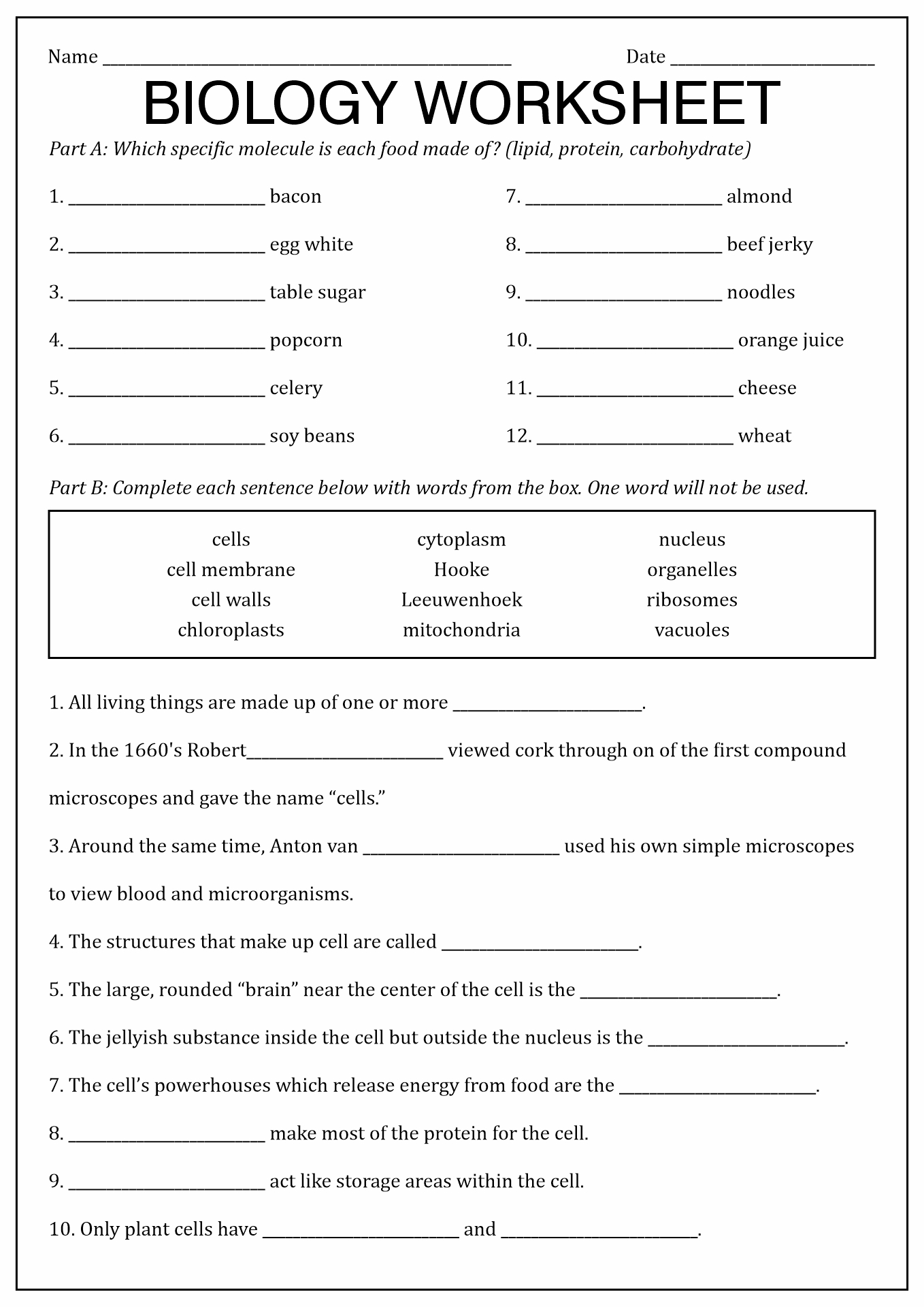 7 Worksheets Middle School Career Worksheeto