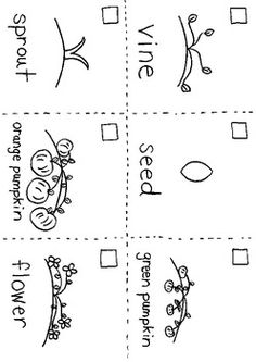 How a Pumpkin Grows Sequencing Worksheet