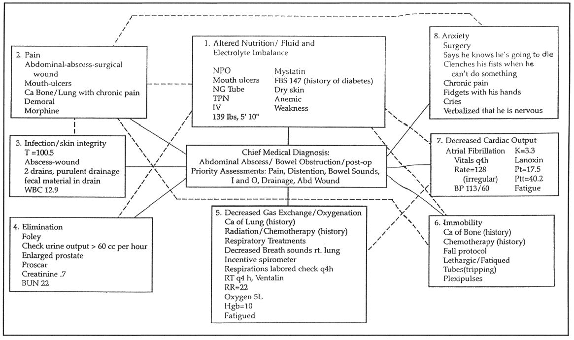 Nursing Concept Map Examples