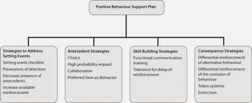 Positive Behavior Support Plan Example