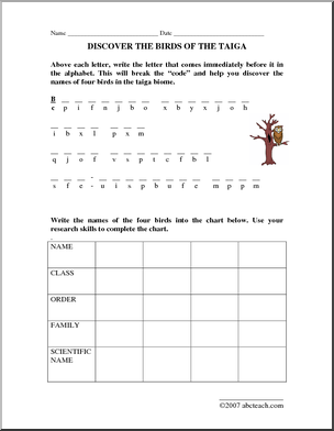 Breaking the Code Worksheet Answers