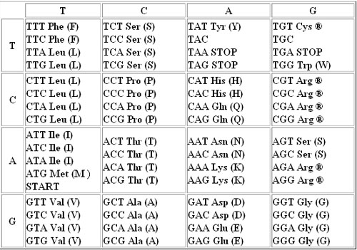 DNA Genetic Code Table