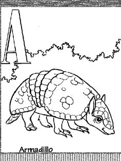 Armadillo Coloring Page