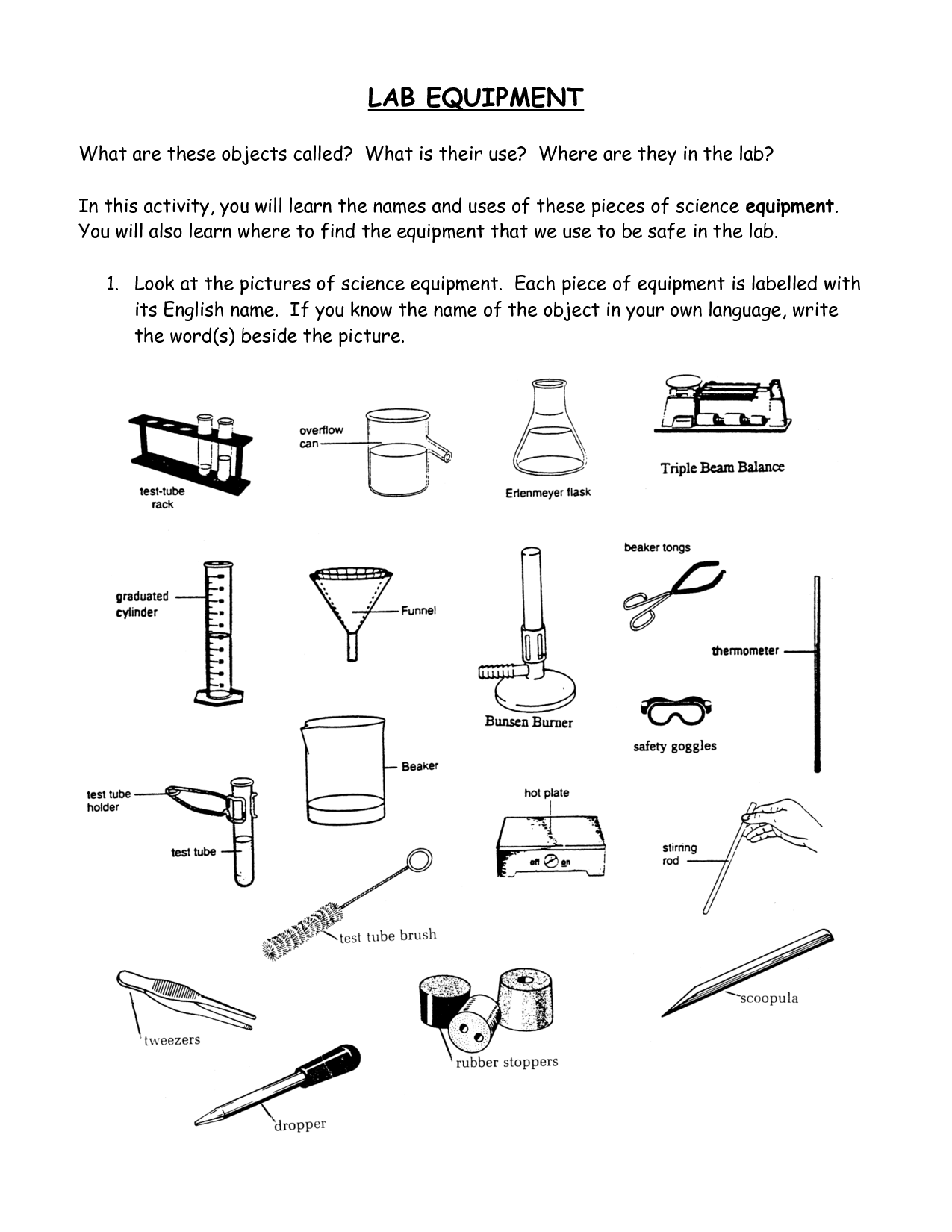 13 Biology Lab Equipment Worksheet Worksheeto