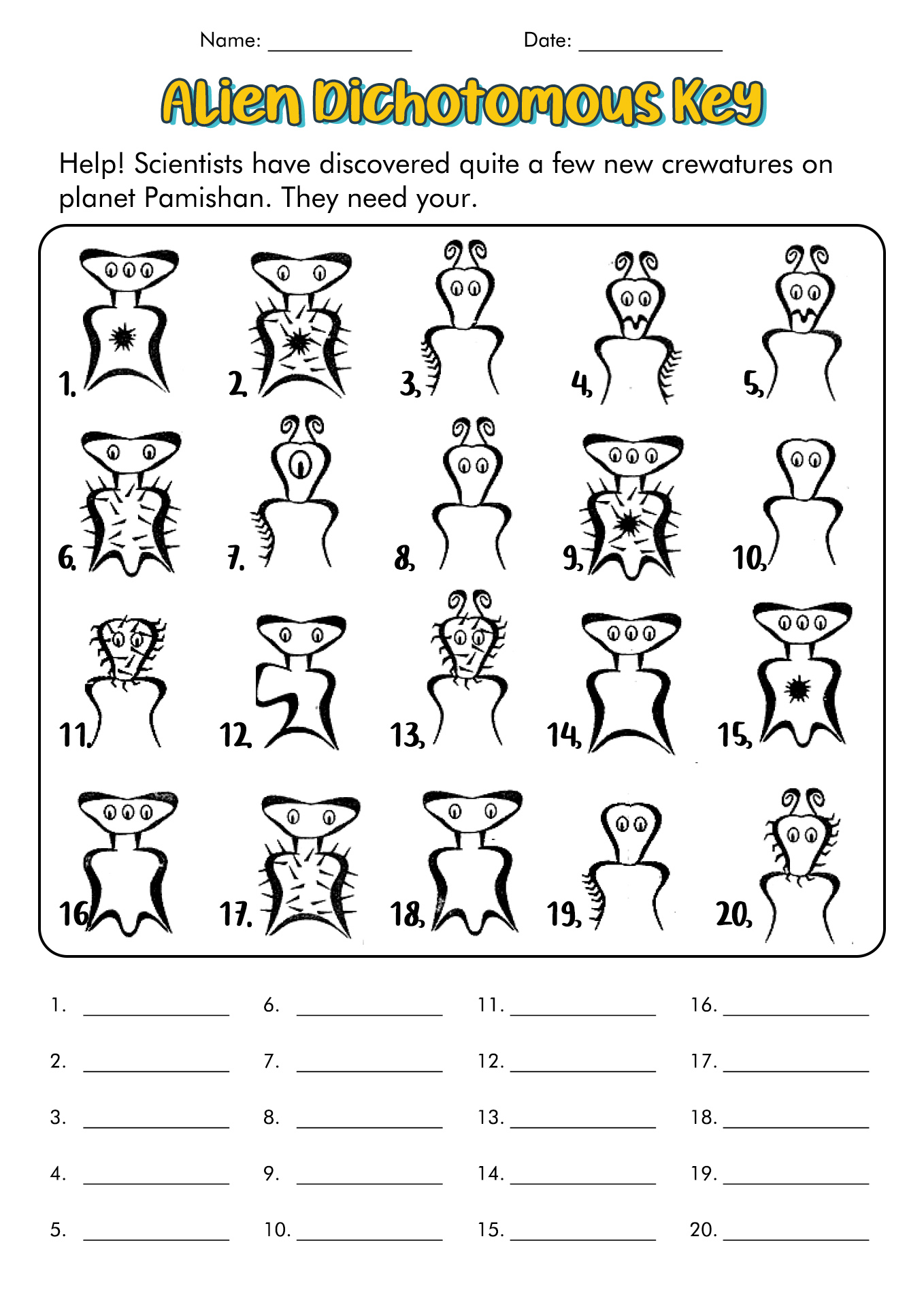 13 Dichotomous Key Worksheets Worksheeto