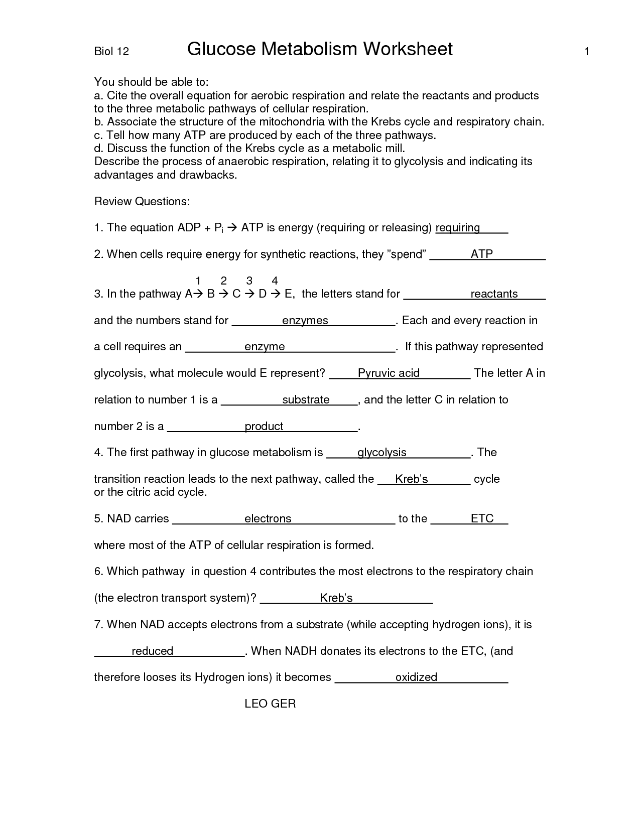 Cellular Respiration Worksheet Answer Key