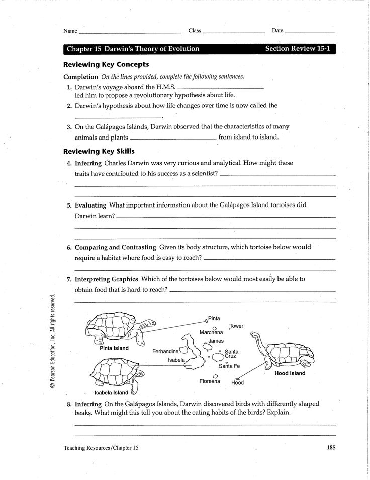 Darwins Theory of Evolution Worksheet