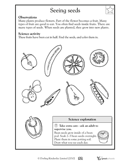 First Grade Printable Science Worksheets