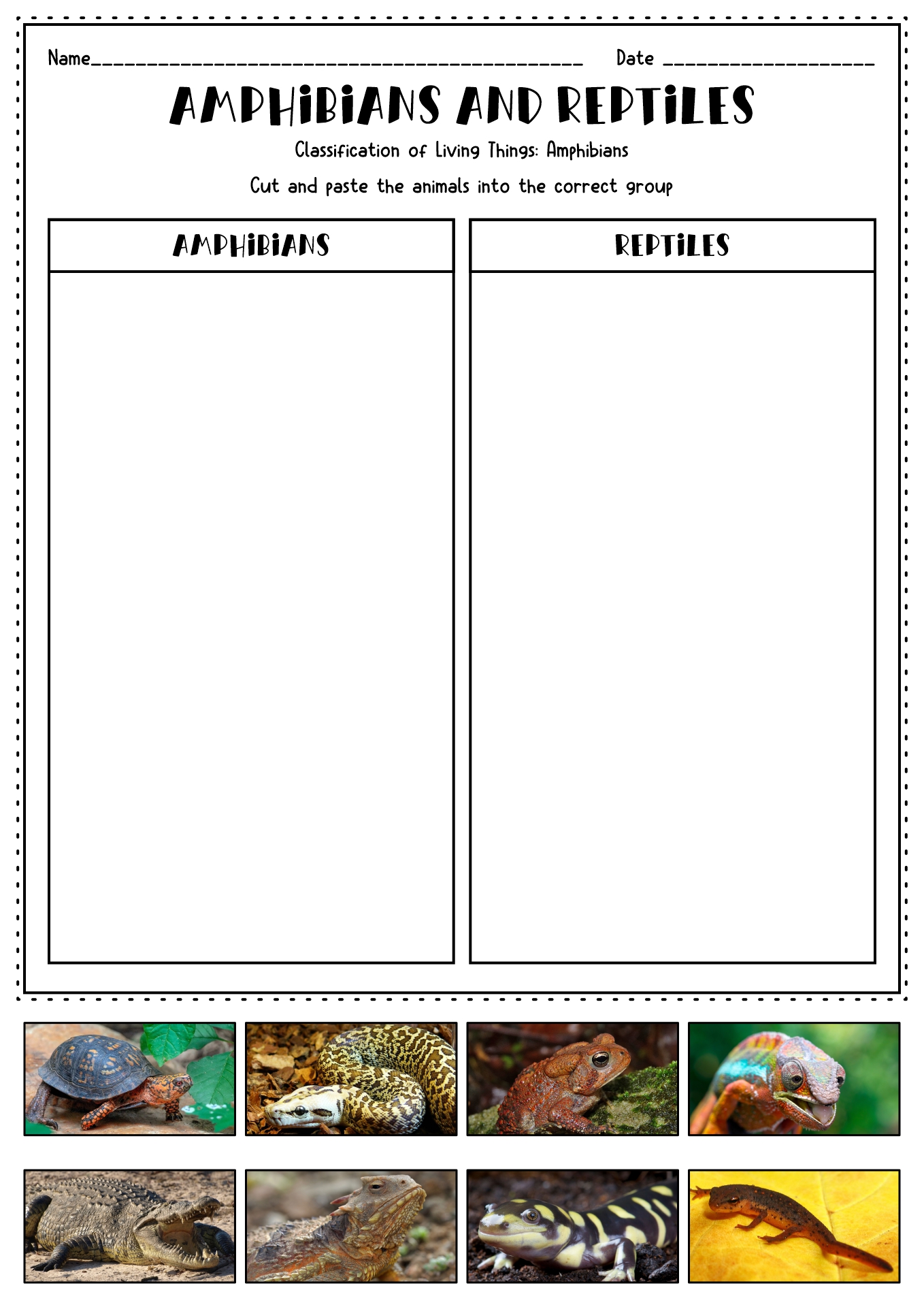 9 Amphibian Worksheets For Kindergarten Worksheeto