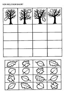 Leaf Sorting Worksheet