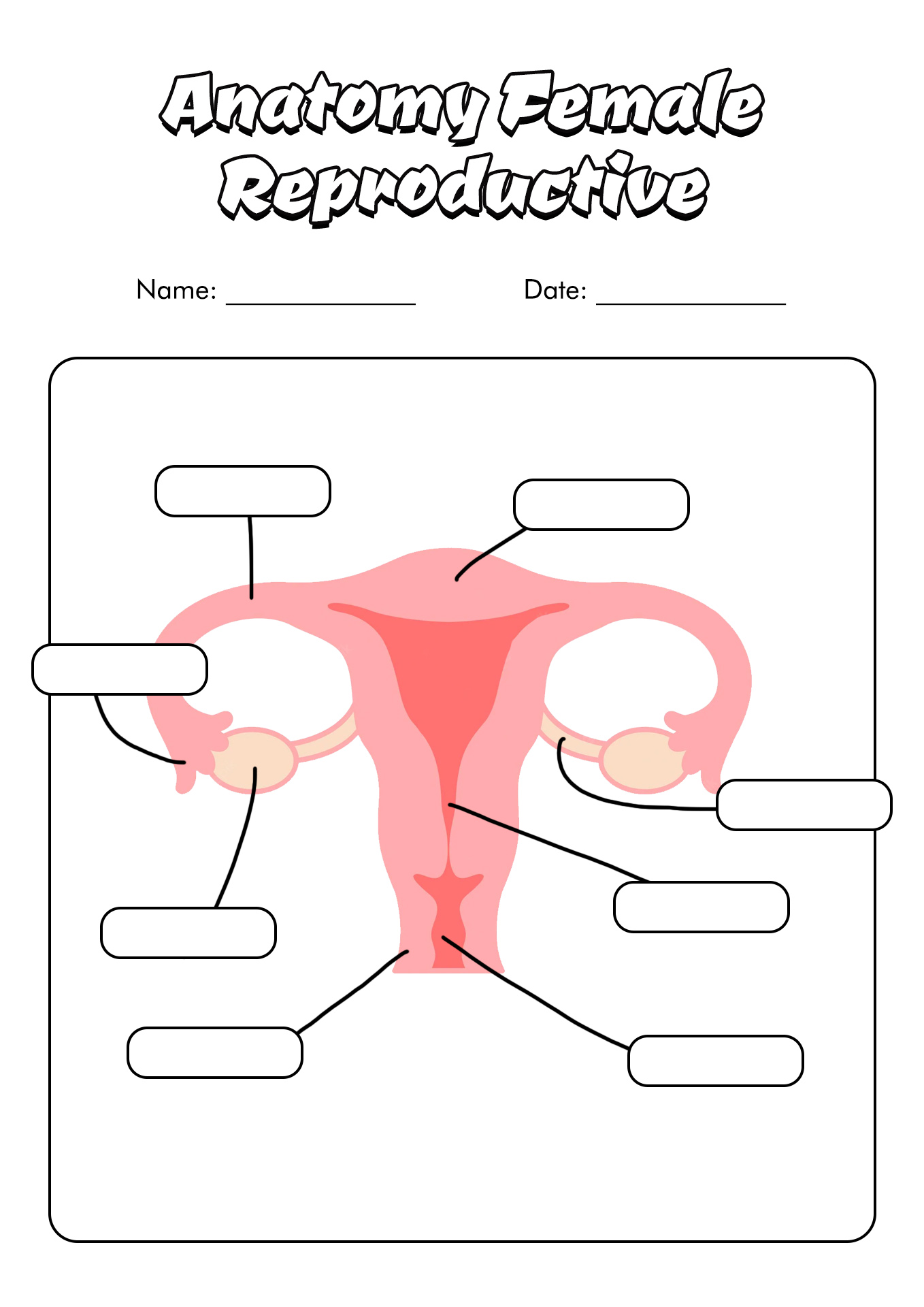 12 Blank Anatomy Worksheets Worksheeto