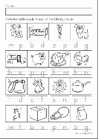 9 Best Images of Amphibian Worksheets For Kindergarten - Reptiles and ...