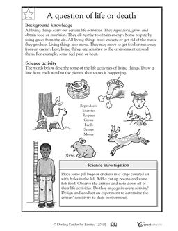 Life Science Worksheets 4th Grade